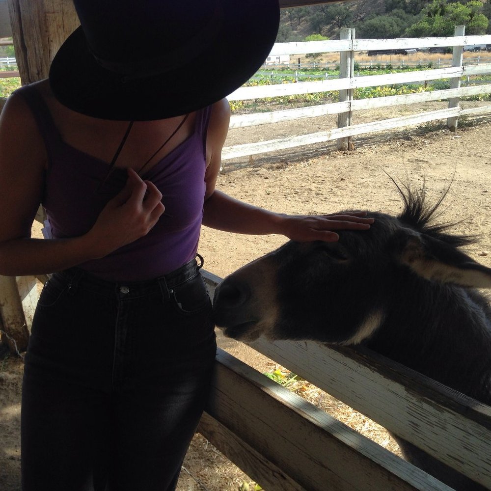 Meet your Posher, Amanda